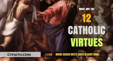 Exploring the 12 Virtues of Catholic Faith and Practice