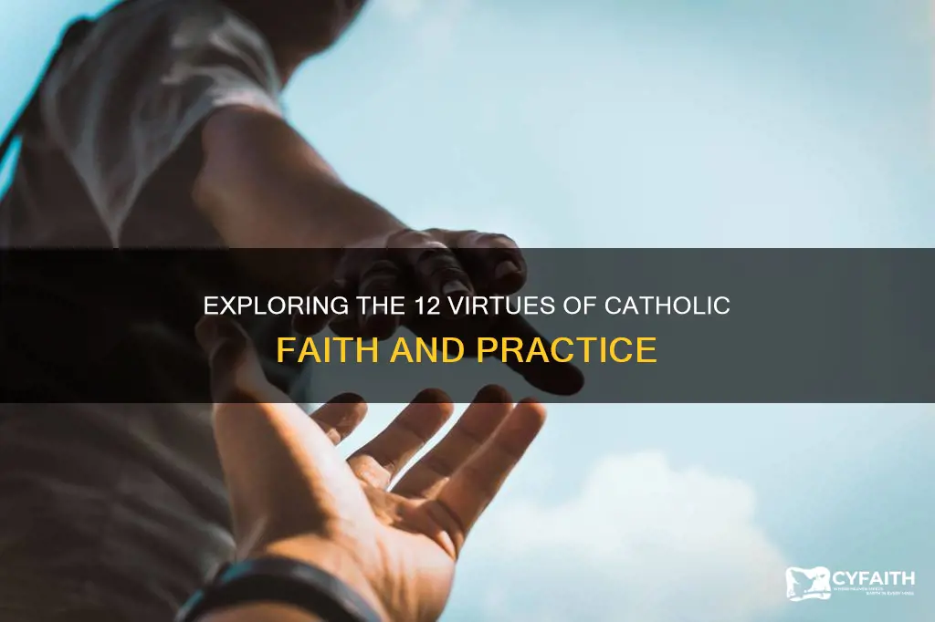 what are the 12 catholic virtues