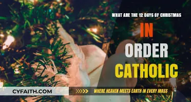 Catholic 12 Days of Christmas: A Sequential Celebration of Faith