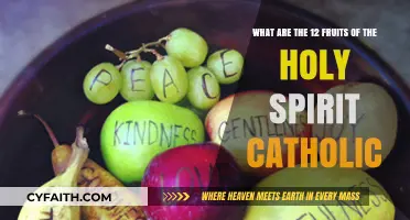 Catholic Virtues: Exploring the 12 Fruits of the Holy Spirit
