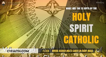 Understanding the Catholic Church's 12 Gifts of the Holy Spirit