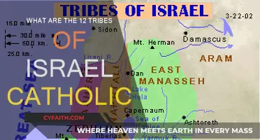 Israel's 12 Tribes: Catholic Perspective