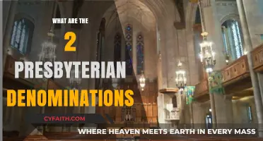 Exploring the Two Main Presbyterian Denominations and Their Differences