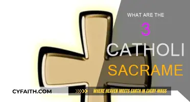 Catholic Sacraments: Three Essential Rituals Explained