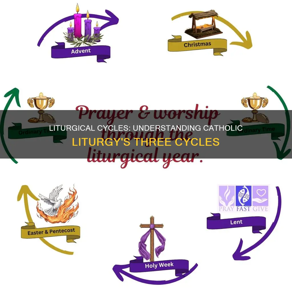 what are the 3 cycles of catholic liturgy