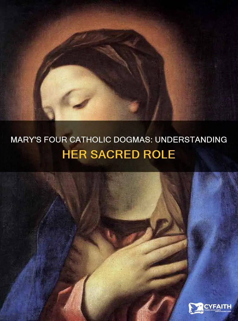 what are the 4 catholic dogmas about mary