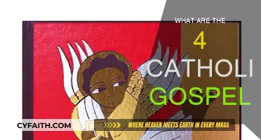 The Four Gospels of the Catholic Bible