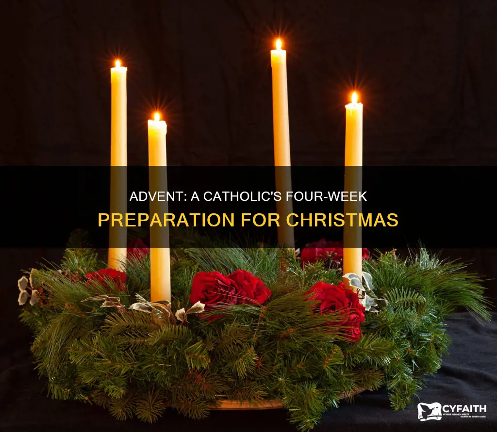 what are the 4 weeks of advent catholic