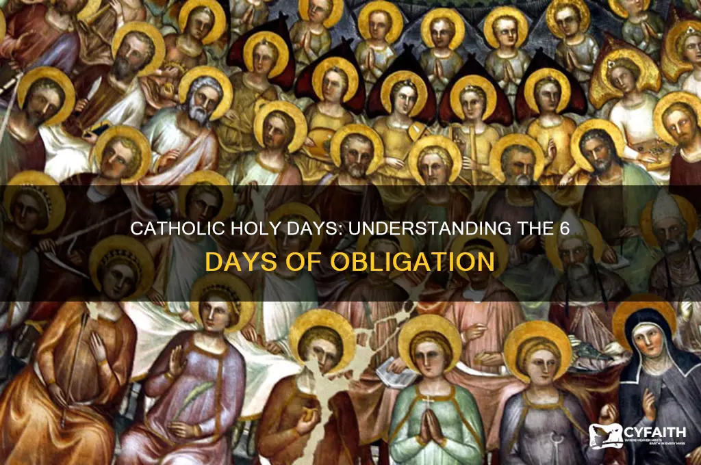 what are the 6 catholic holy days of obligation
