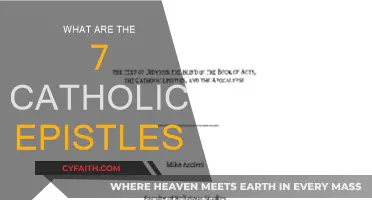 Catholic Epistles: Understanding the Seven Letters