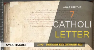The Seven Catholic Letters: A Guide to Understanding