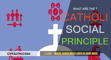 Catholic Social Principles: Seven Key Ethical Teachings