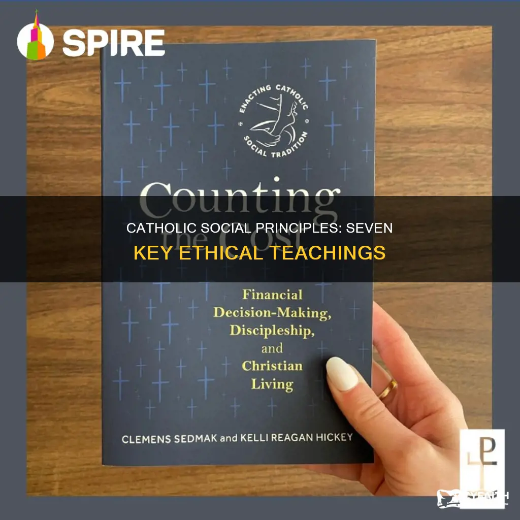 what are the 7 catholic social principles