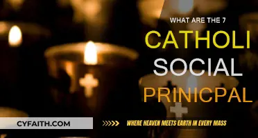 Catholic Social Teaching: 7 Principles for Justice