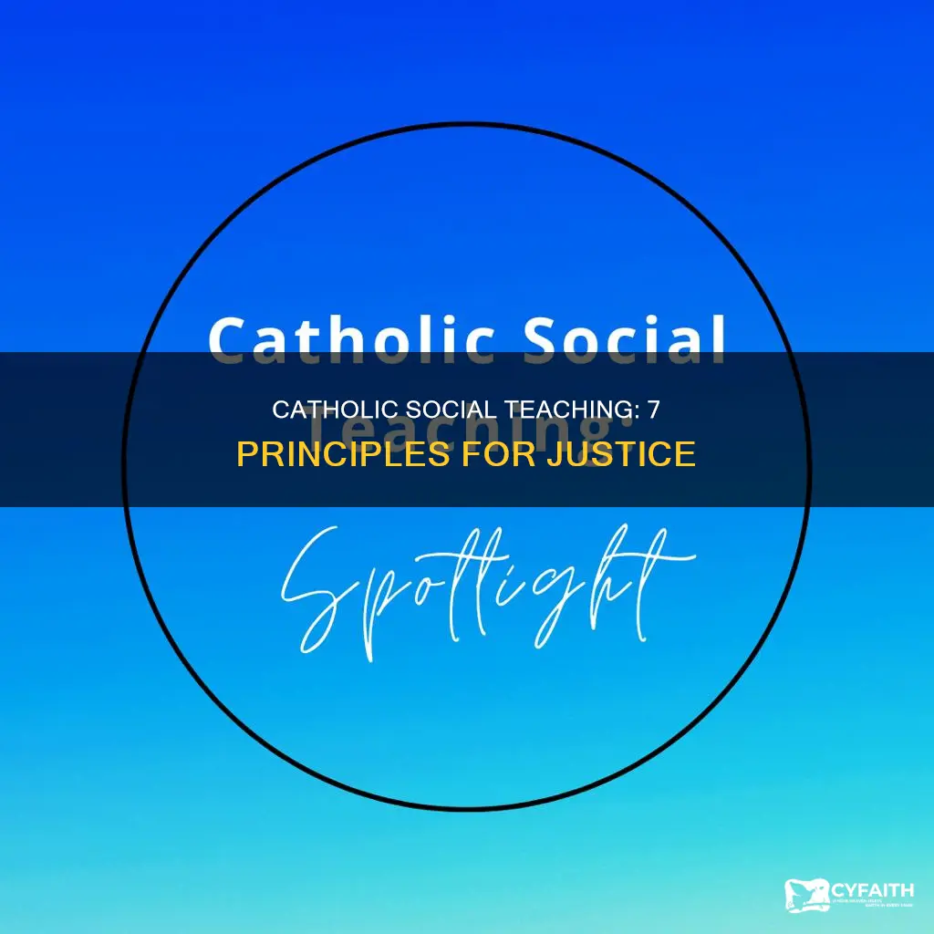 what are the 7 catholic social prinicpals