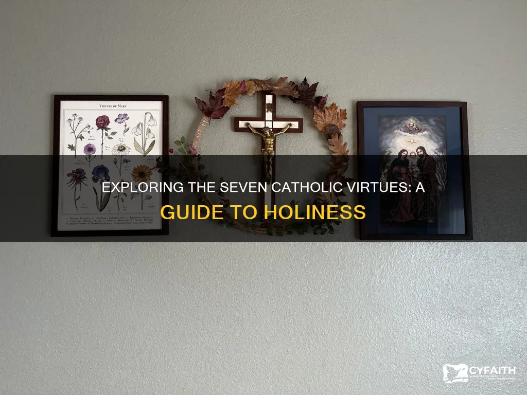 what are the 7 catholic virtues