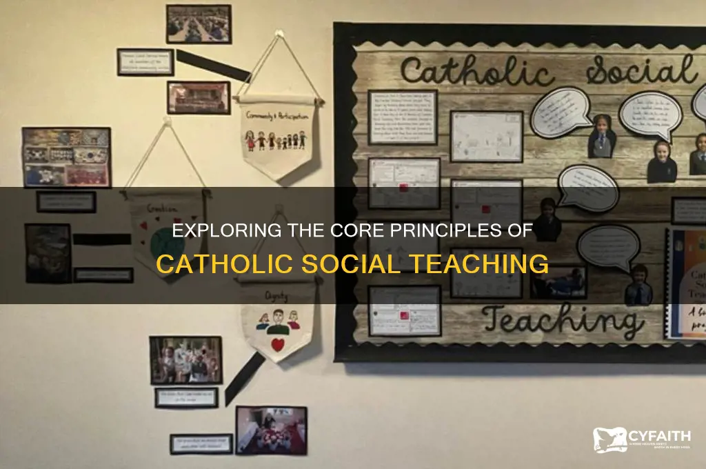 what are the 7 major themes of catholic social teaching