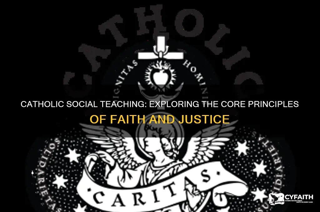 what are the 7 pillars of catholic social teaching