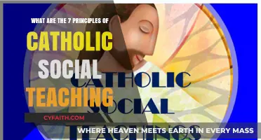 Catholic Social Teaching: 7 Core Principles for Faith and Justice