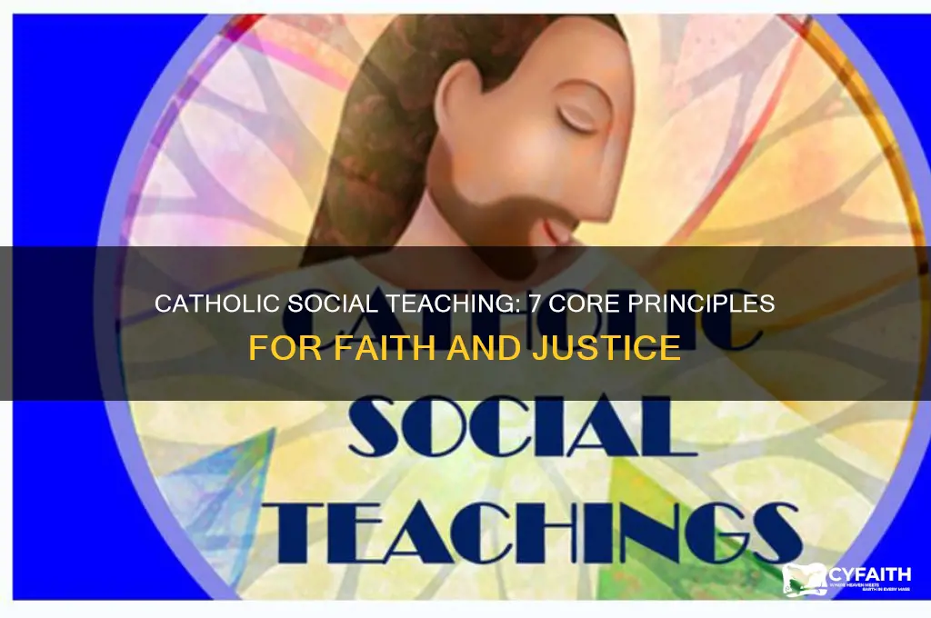 what are the 7 principles of catholic social teaching
