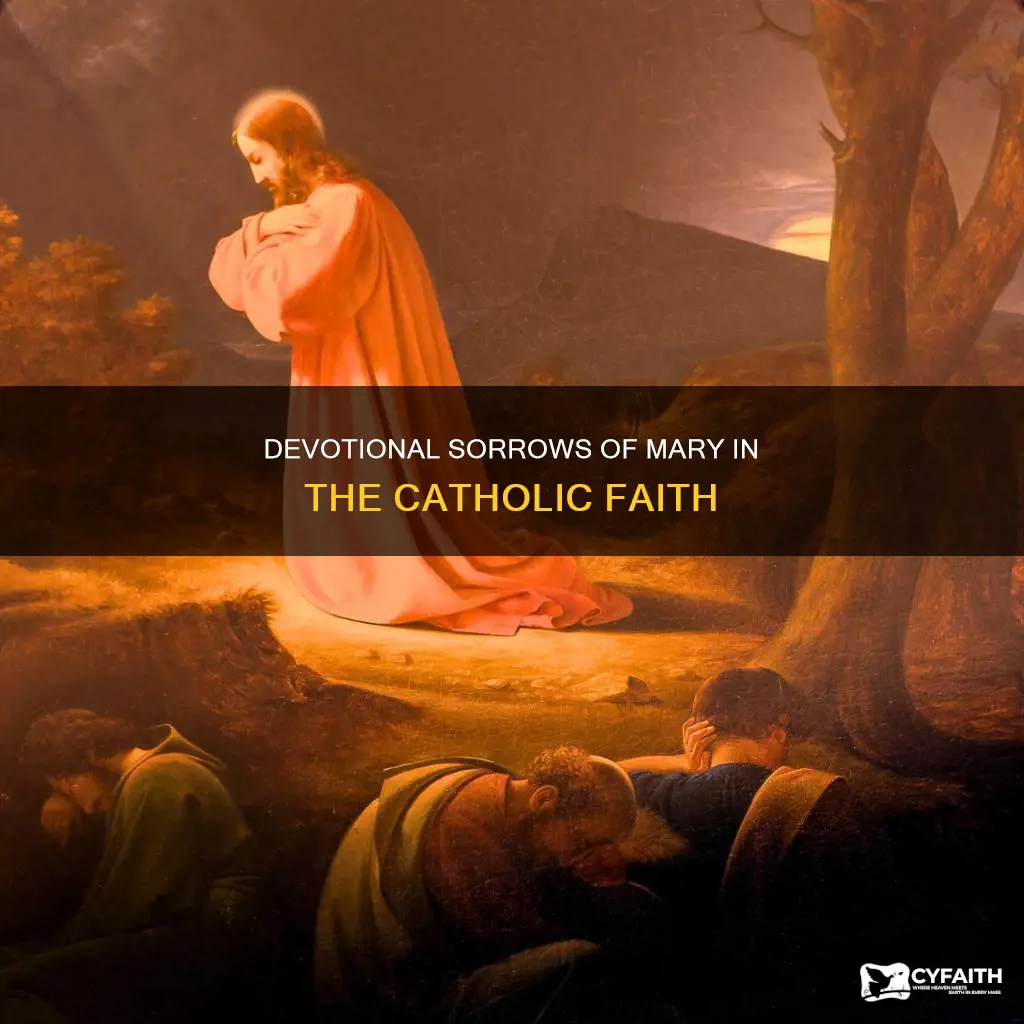what are the 7 sorrows of mary catholic