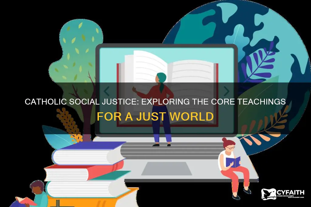 what are the 7 teachings of catholic social justice
