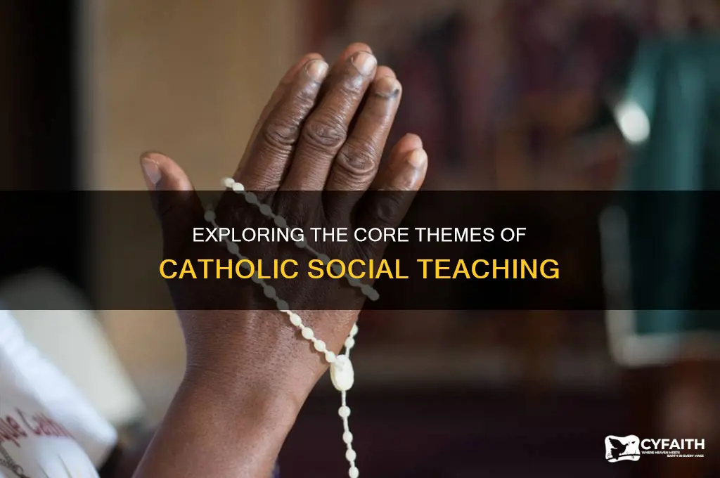 what are the 7 themes of catholic social teaching
