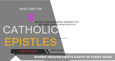 Exploring the Catholic Epistles: Understanding Their Significance