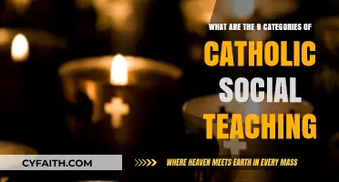 Exploring Catholic Social Teaching: Nine Core Principles for Justice and Charity
