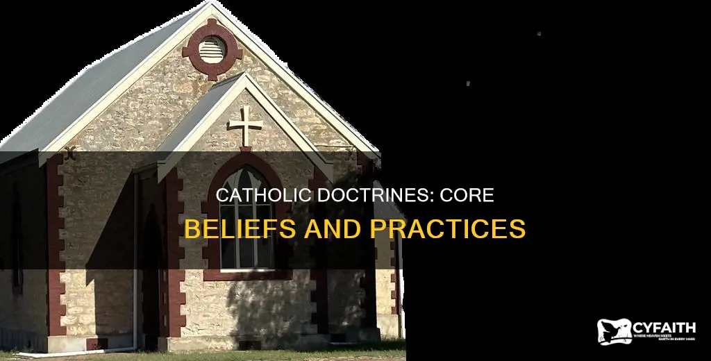 what are the basic catholic doctrines