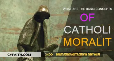 Exploring the Core Principles of Catholic Morality