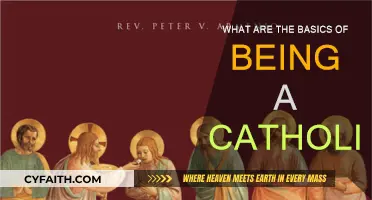 Catholic Fundamentals: Faith, Sacraments, and Daily Practice
