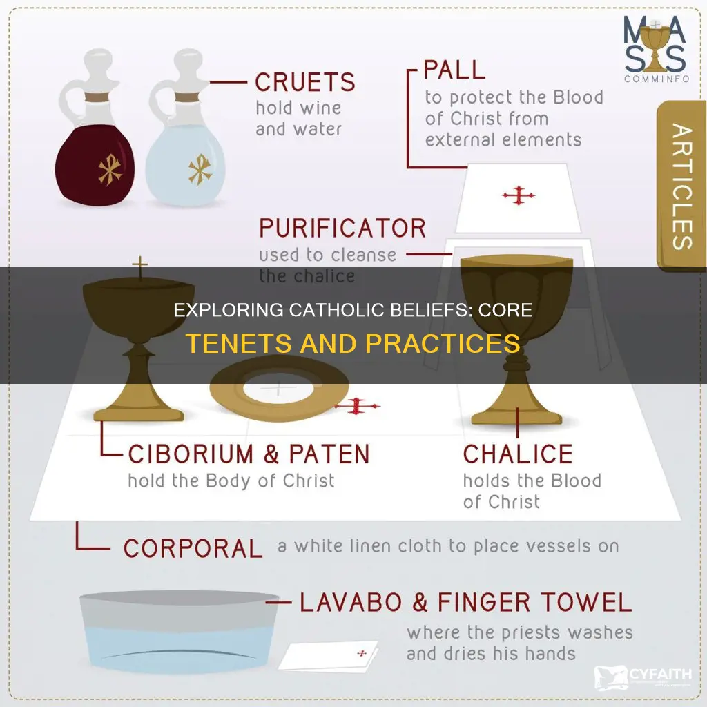 what are the belief of catholic