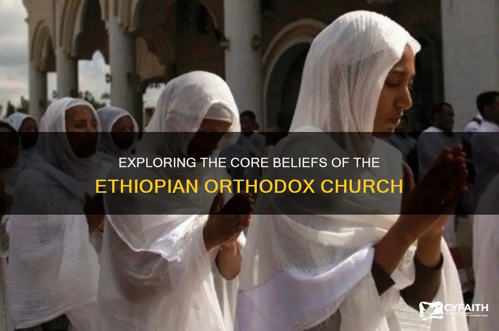 what are the beliefs of the ethiopian orthodox church