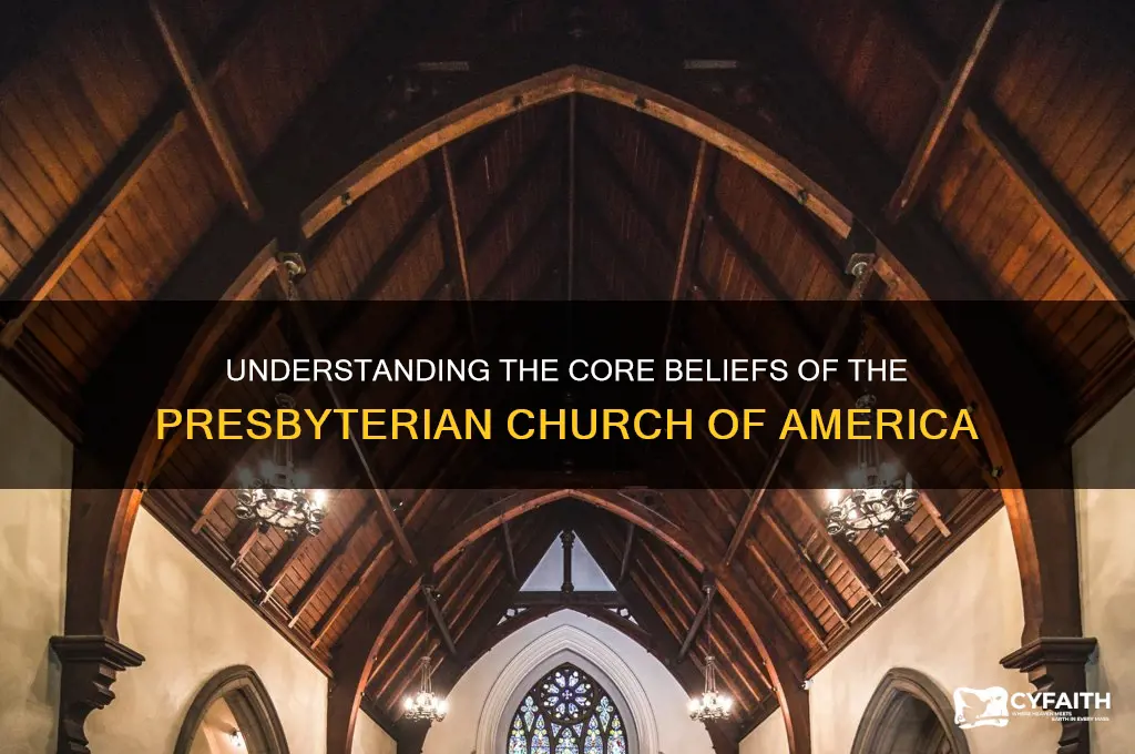what are the beliefs of the presbyterian church of america
