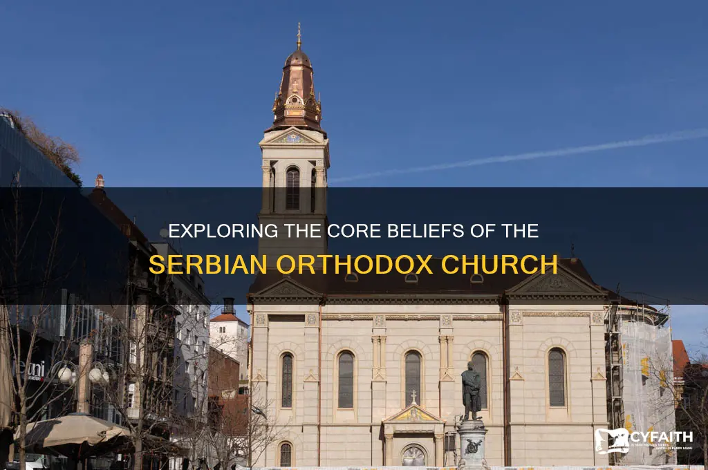 what are the beliefs of the serbian orthodox church
