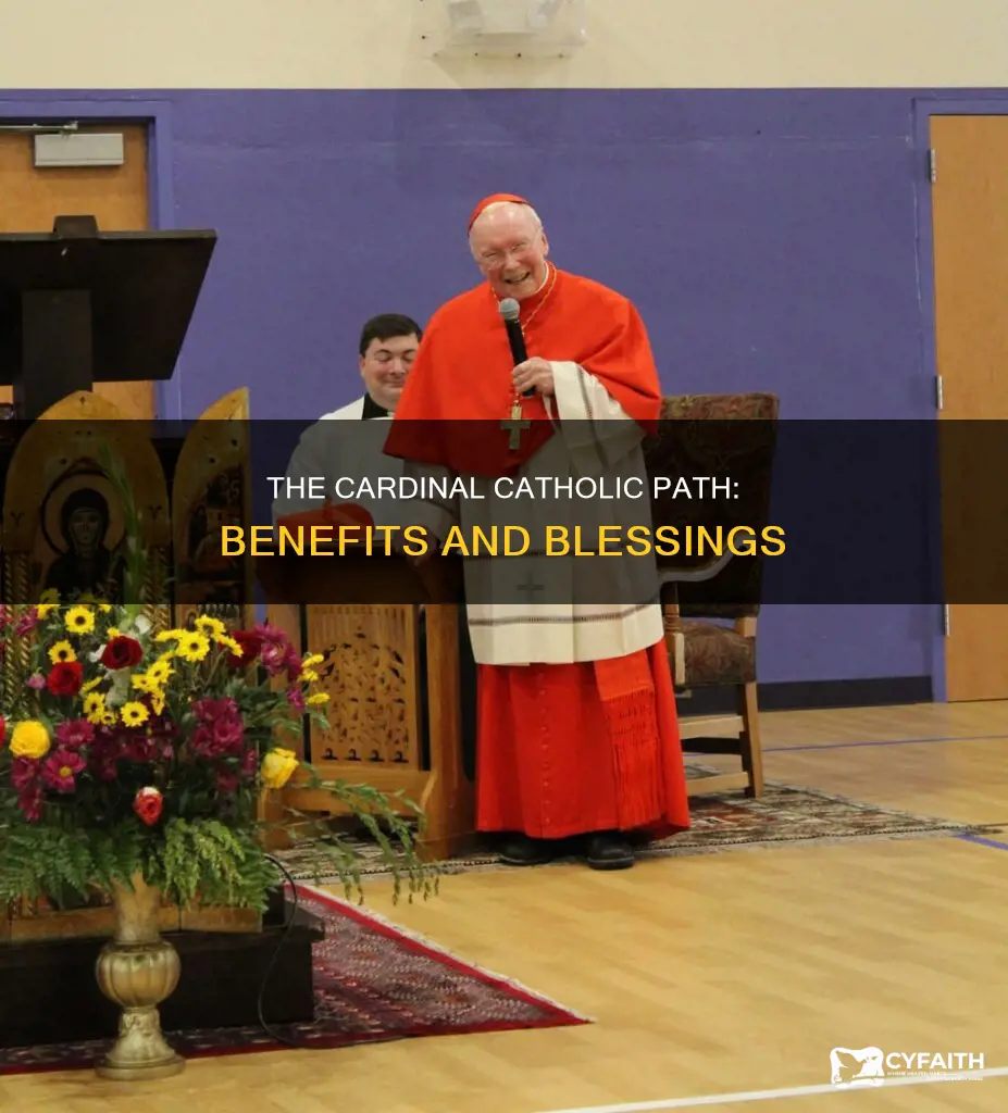 what are the benefits of a cardinal catholic