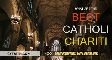 Catholic Charities: Top Organizations Making a Difference
