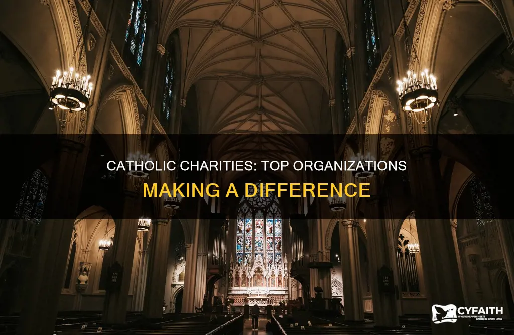 what are the best catholic charities