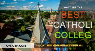 Best Catholic Colleges: Where Faith Meets Academic Excellence
