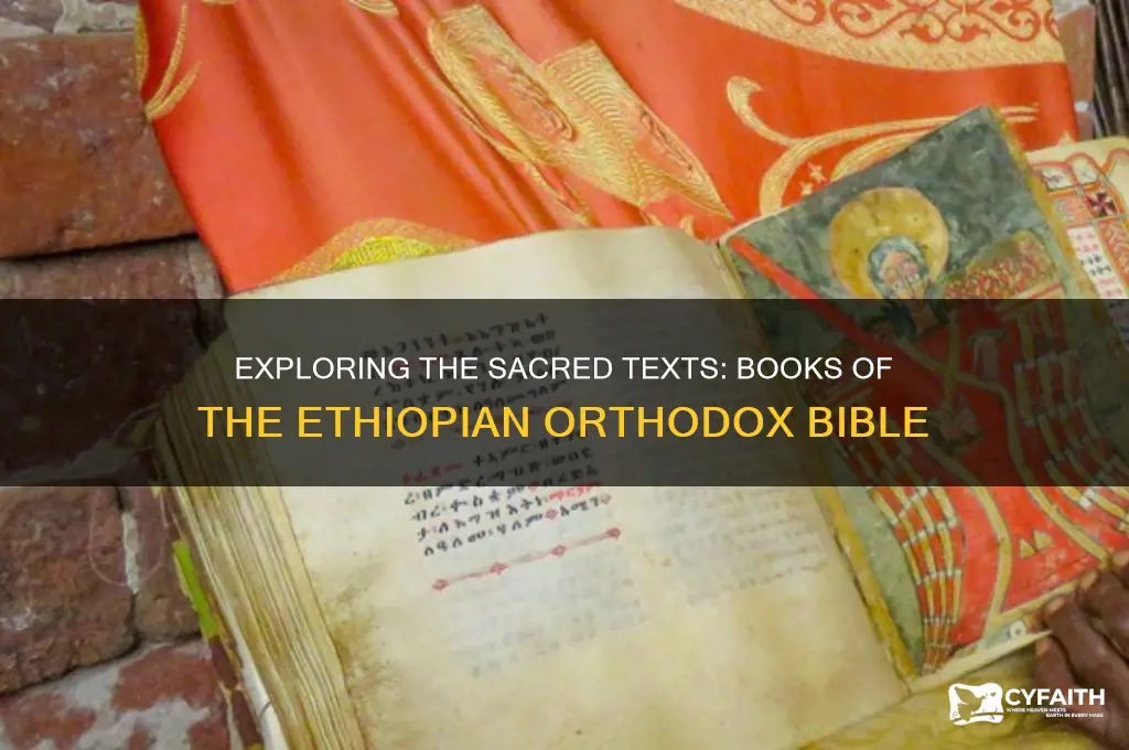 what are the books of the ethiopian orthodox bible