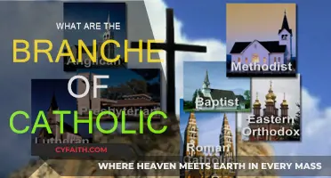 Exploring Catholic Branches: Understanding Diversity in Faith