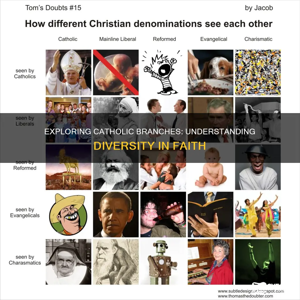 what are the branches of catholic