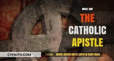 Understanding the Catholic Apostles: Their Role and Significance in Faith