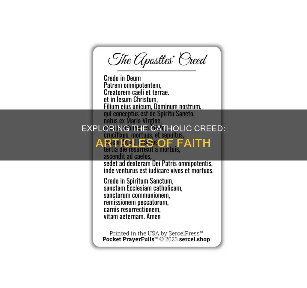 what are the catholic articles of faith