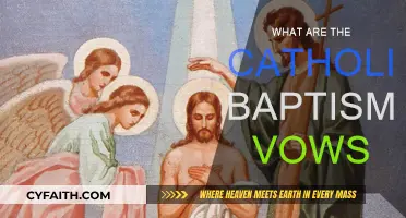 Understanding Catholic Baptismal Vows and Their Significance