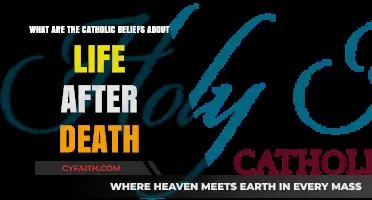 Catholic Teachings on Eternal Life: Exploring Beliefs About the Afterlife