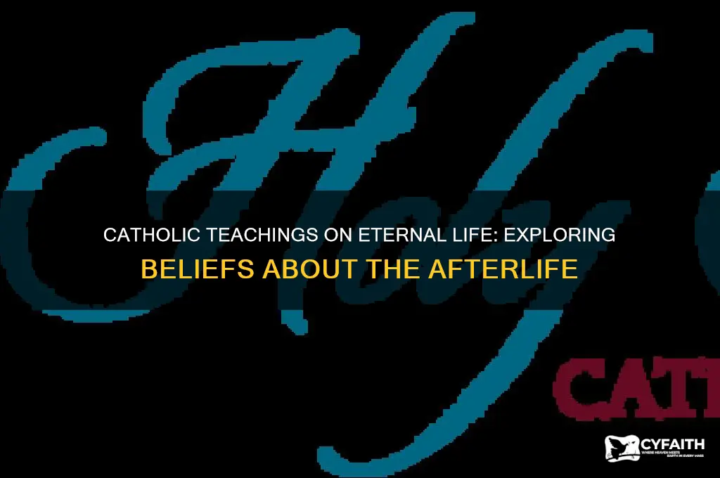 what are the catholic beliefs about life after death