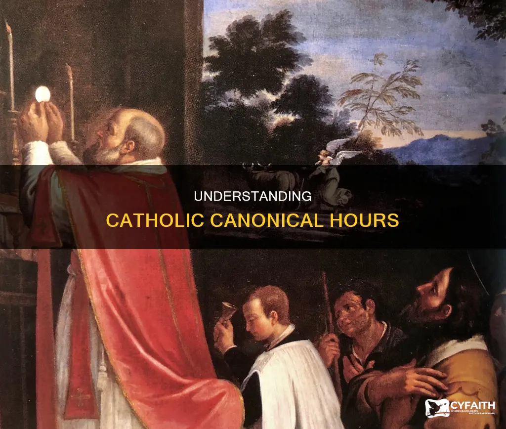 what are the catholic canonical hours