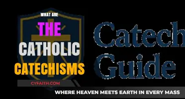 Understanding the Catholic Catechisms: A Guide to Faith and Doctrine